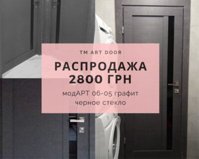 распродажа дверей АРТ 06-05 графит